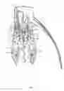 Fig. 03 - Bottle opener