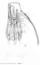 Fig. 05 - Bottle opener