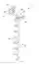 Fig. 01 - Bottle stop remover