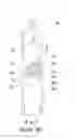 Fig. 03 - Screwdriver handle