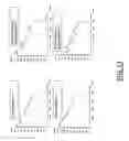 Fig. 11 - Means and methods of sound synthesizing