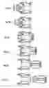 Fig. 06 - Central buffer coupling for rail-mounted vehicles