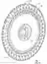 Fig. 02 - Flat type seed meter disk with axially offset surface