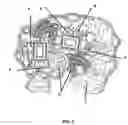Fig. 03 - Landscaping pond system and method with variable opening falls and tesserae geometry
