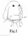 Fig. 02 - Seal for pet collar antenna