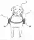 Fig. 01 - 360º Multi-directional view canine harness