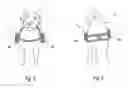 Fig. 03 - 360º Multi-directional view canine harness