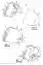 Fig. 02 - Mask