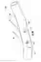 Fig. 10 - Nasal cannula