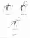 Fig. 02 - System and method for the digital specification of head shape data for use in developing custom hair pieces