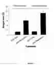 Fig. 07 - Processes for the production of packaging materal for transporting and storing perishable goods