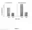 Fig. 14 - Processes for the production of packaging materal for transporting and storing perishable goods