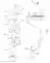 Fig. 03 - METHOD AND MACHINE FOR PRODUCING A FIBROUS WEB