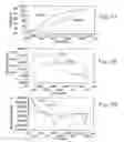 Fig. 13 - Folding system and process for a continuous moving web operation