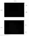 Fig. 10 - Printed circuit board using paste bump and manufacturing method thereof