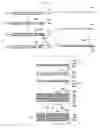 Fig. 12 - Printed circuit board using paste bump and manufacturing method thereof