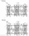 Fig. 06 - Optical sensing device for detecting optical features of valuable papers