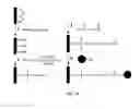 Fig. 11 - Enzyme immobilization for electroosmotic flow