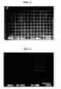 Fig. 03 - Composite layer including metal and inorganic powders and method for manufacturing the same