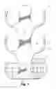 Fig. 02 - Clip for elliptically-shaped containers