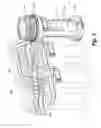 Fig. 06 - Clip for elliptically-shaped containers