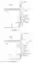Fig. 06 - Baking pan stacking clips