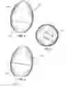 Fig. 03 - Egg-shaped container