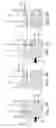 Fig. 08 - Fluid filtration assembly