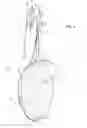 Fig. 02 - ELECTRON SOURCE FOOD TREATING APPARATUS AND METHOD