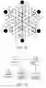 Fig. 24 - Product item having coded data identifying a layout