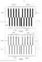 Fig. 09 - Focus masking structures, focus patterns and measurements thereof