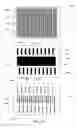 Fig. 13 - Focus masking structures, focus patterns and measurements thereof