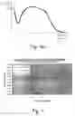 Fig. 07 - PMOS pixel structure with low cross talk for active pixel image sensors