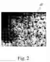 Fig. 03 - Inorganic phosphor and method for manufacturing the same