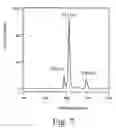 Fig. 08 - Inorganic phosphor and method for manufacturing the same