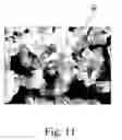 Fig. 12 - Inorganic phosphor and method for manufacturing the same