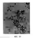 Fig. 09 - Method for preparing rare-earth doped fluoride nanoparticles