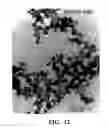 Fig. 11 - Method for preparing rare-earth doped fluoride nanoparticles