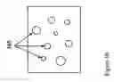 Fig. 03 - Method of making nanowires