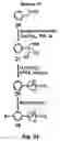 Fig. 26 - Multipodal tethers for high-density attachment of redox-active moieties to substrates