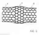 Fig. 03 - Nanotube based multi-level memory structure