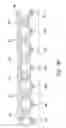 Fig. 07 - NON-VOLATILE MEMORY