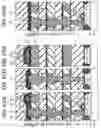 Fig. 35 - Semiconductor tunneling magneto resistance device and method of manufacturing the same