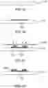 Fig. 02 - Structure for reducing stress for vias and fabricating method thereof