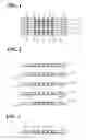 Fig. 02 - Composite wiring board and manufacturing method thereof