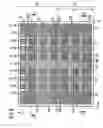 Fig. 07 - Semiconductor component comprising interconnected cell strips