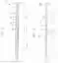 Fig. 08 - Semiconductor chip having bond pads