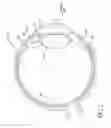 Fig. 03 - Single-piece accommodating intraocular lens system
