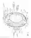 Fig. 04 - Single-piece accommodating intraocular lens system
