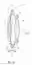 Fig. 22 - Single-piece accommodating intraocular lens system